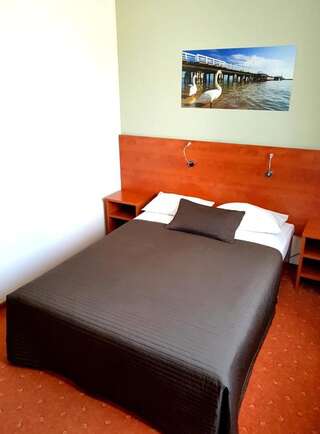Отель Hotel Górski Прущ-Гданьский Стандартный номер с кроватью размера "king-size"-4